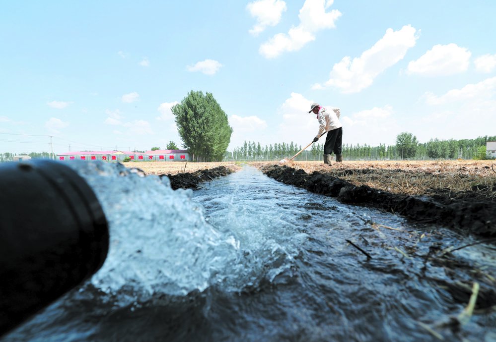 Irrigation Pump