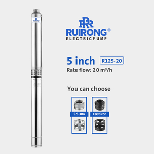 RUIRONG PUMP 5 inch Solar-Powered Submersible Pump deep well water pump