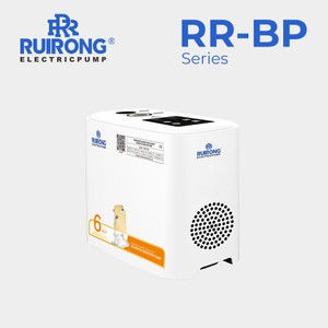 RUIRONG High Pressure home mini automatic Centrifugal booster pumps Permanent magnet Intelligent domestic booster pump