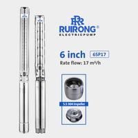 RUIRONG PUMP 6 inch stainless steel submersible pump SP Agricultural water Pump