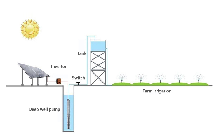 solar water pump in irrigation