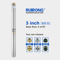 RUIRONG 3 Inch R75-T3 Series plastic impeller Submersible Water Pump stainless steel Deep Well pump
