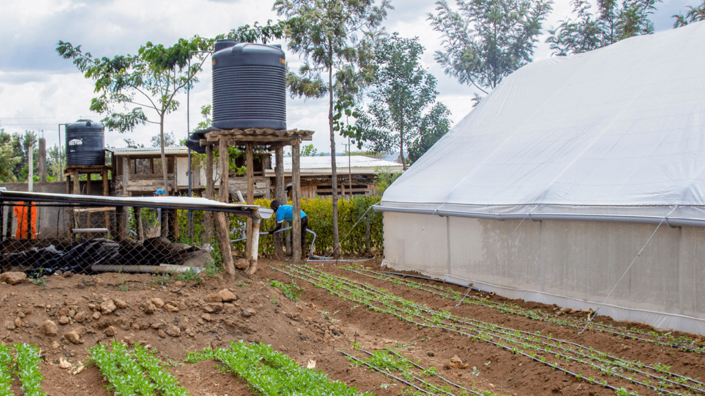 solar water pump for irrigation