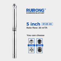 RUIRONG PUMP 5 inch R125-20 Series Solar-Powered Submersible Pump deep well water pump